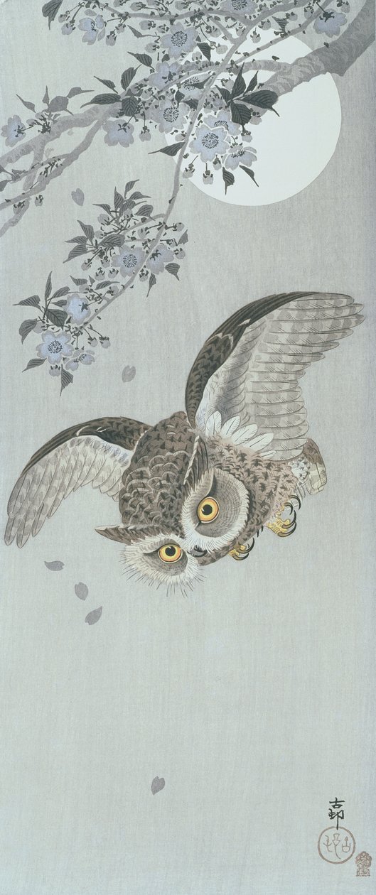 Scoop ugle i flugt med blomst og fuldmåne (farvet træblok print) af Ohara Koson