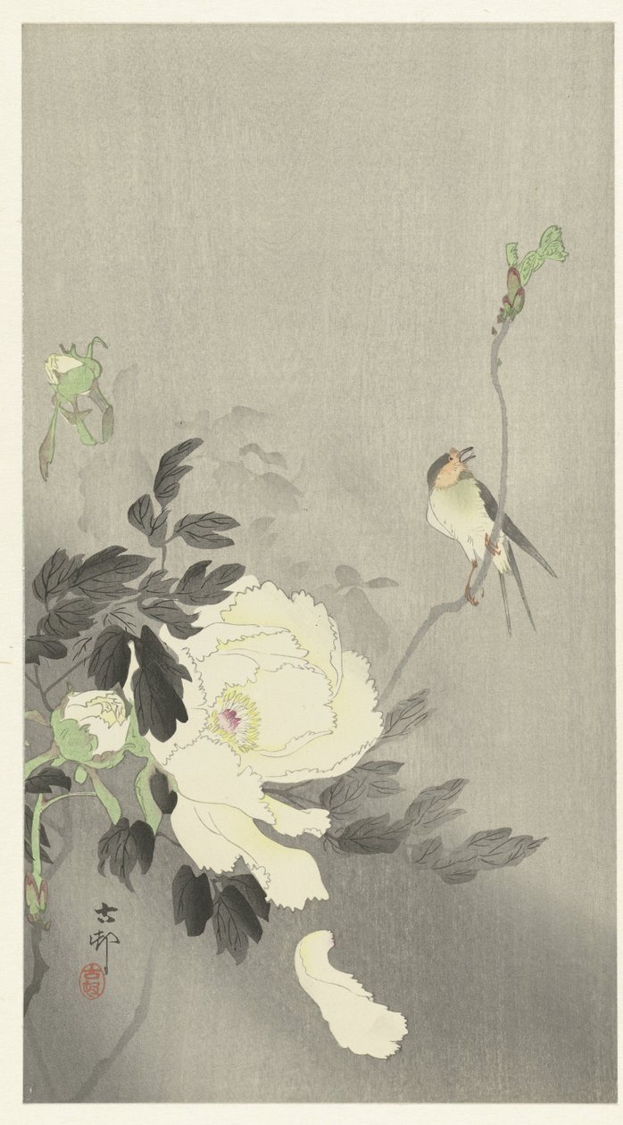 Swallow med Peony af Ohara Koson
