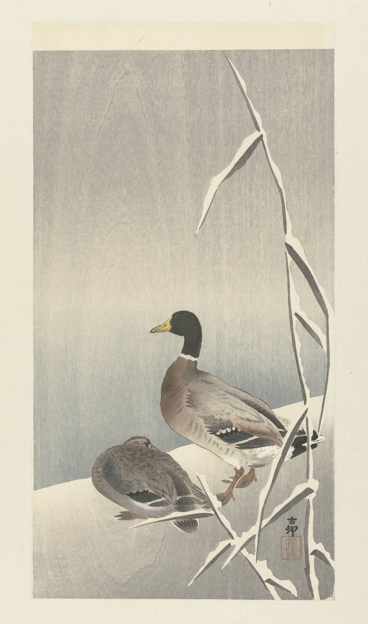 To ænder på snedækket siv over af Ohara Koson