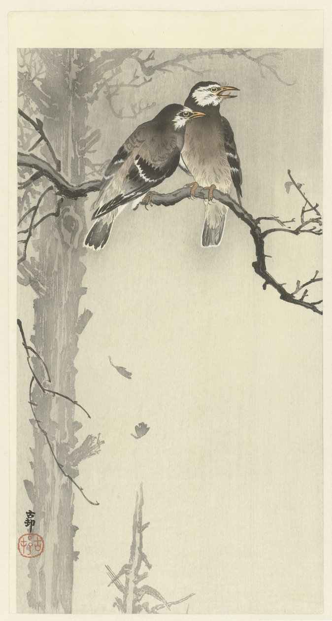 To grå stære af Ohara Koson