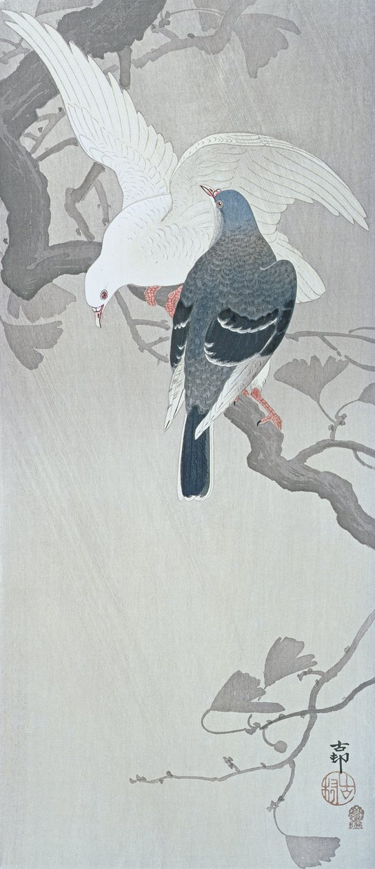 To duer i regnen på en gren af et ginkgotræ af Ohara Koson