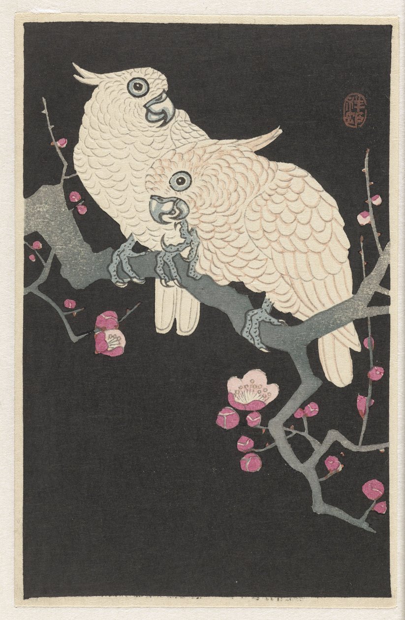To kakaduer og blommeblomst af Ohara Koson