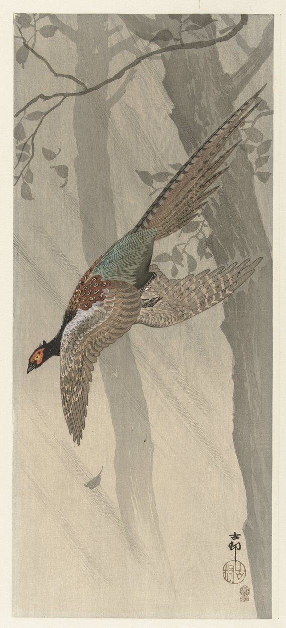 flyvende fasan af Ohara Koson