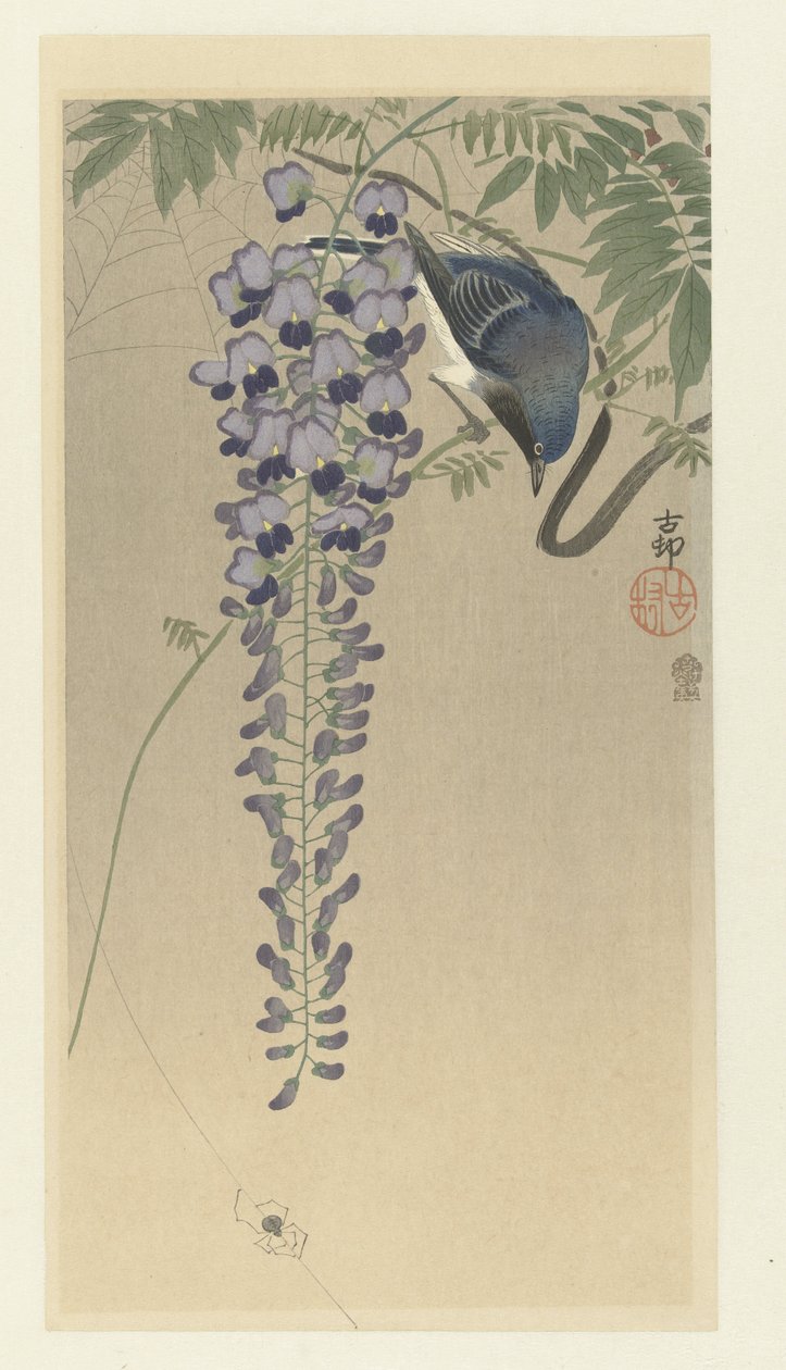 Flycatcher hos Wisteria af Ohara Koson