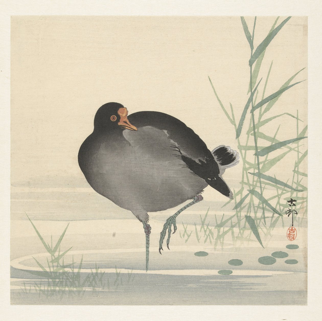 Waterhoen af Ohara Koson