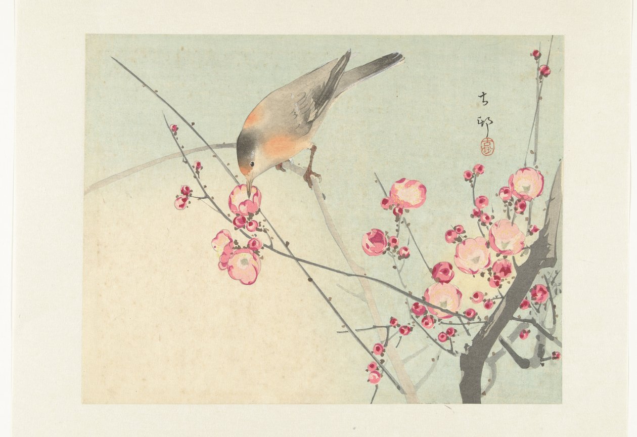 Sangfugl på blomstrende gren af Ohara Koson