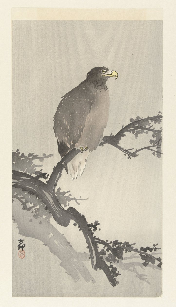 Skaldet ørn på gren af Ohara Koson