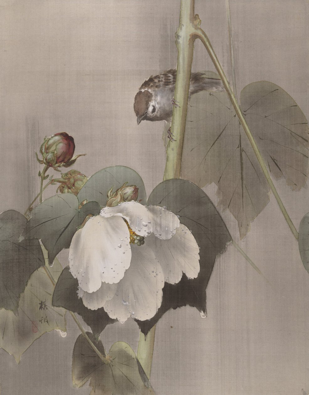 Bomuld Rose Mallows in the Rain, ca. 1891-92. af Okada Baison