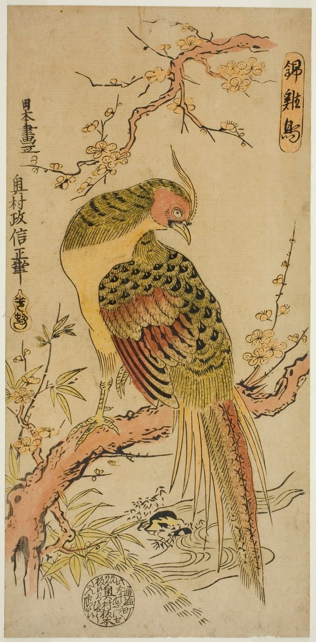 Guldfasan (Kinkeicho) af Okumura Masanobu