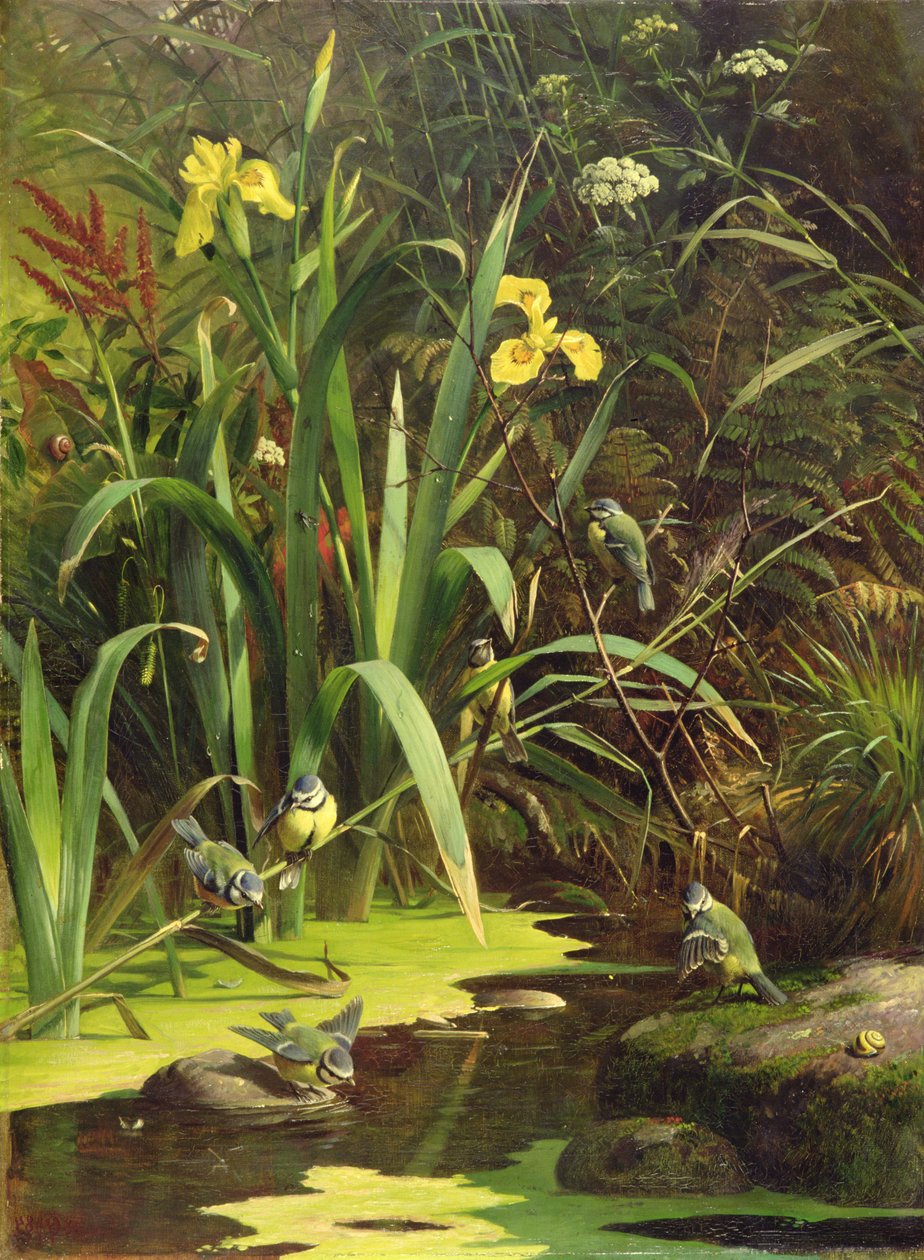 Badetid, 1884 af Olaf August Hermansen