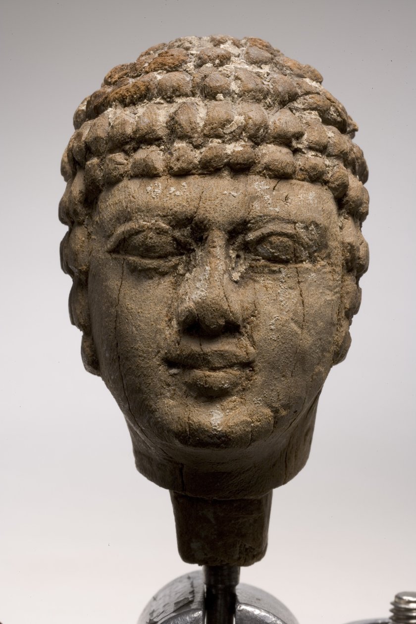 Hoved af en mand (træ) (se også 249003 & 249005-6) af Old Kingdom Egyptian
