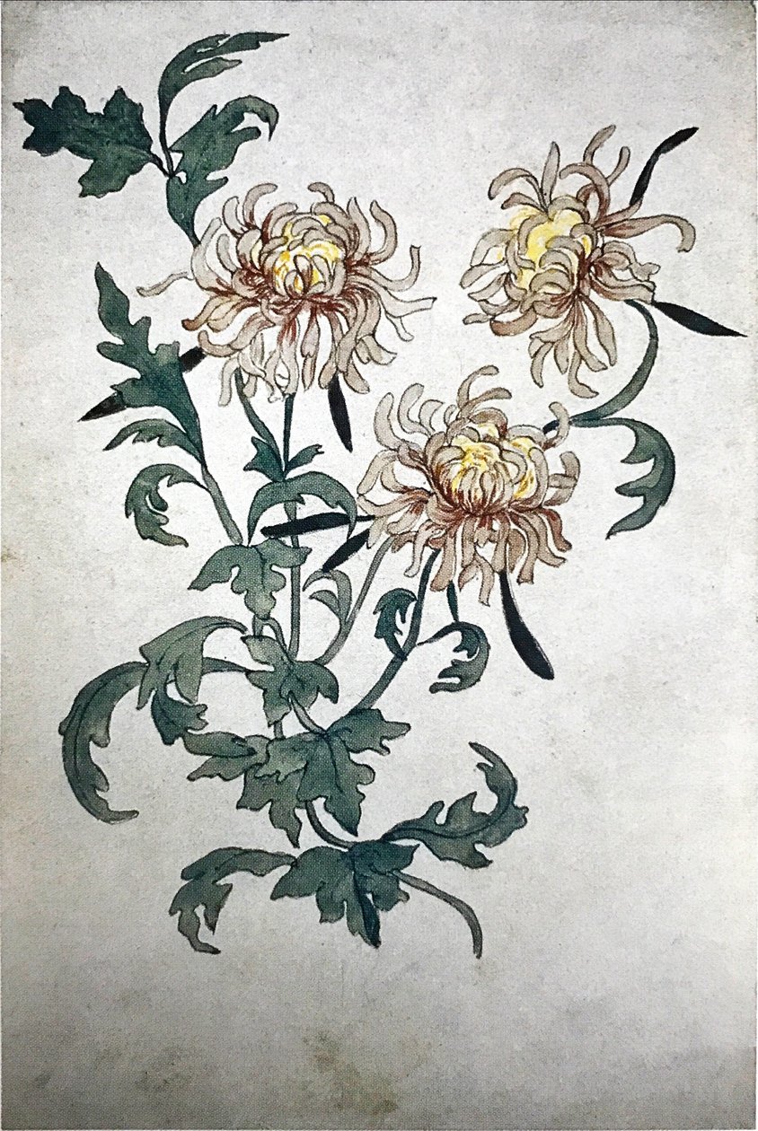 Blomster af Olga Rozanova
