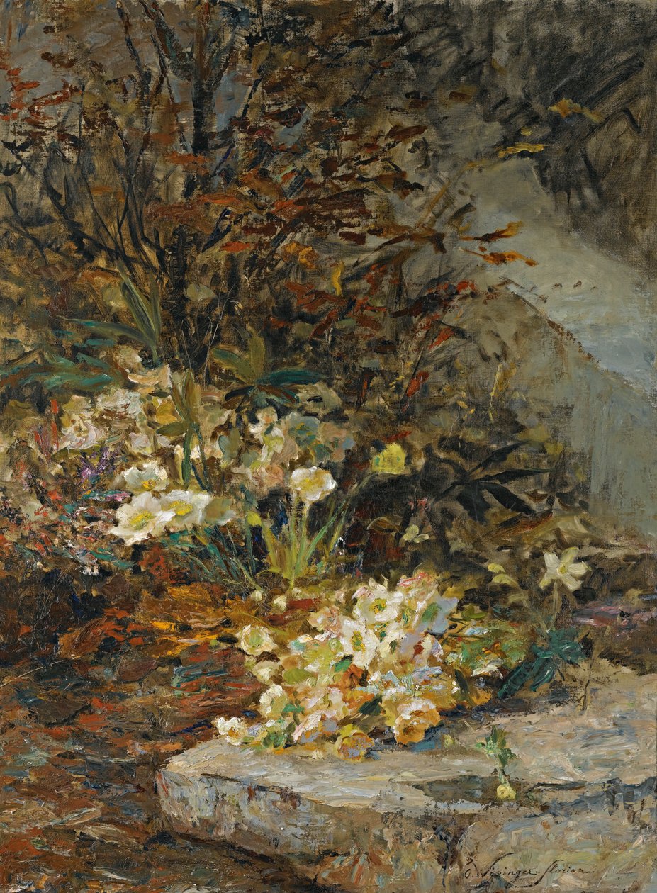 Hellebores af Olga Wisinger Florian