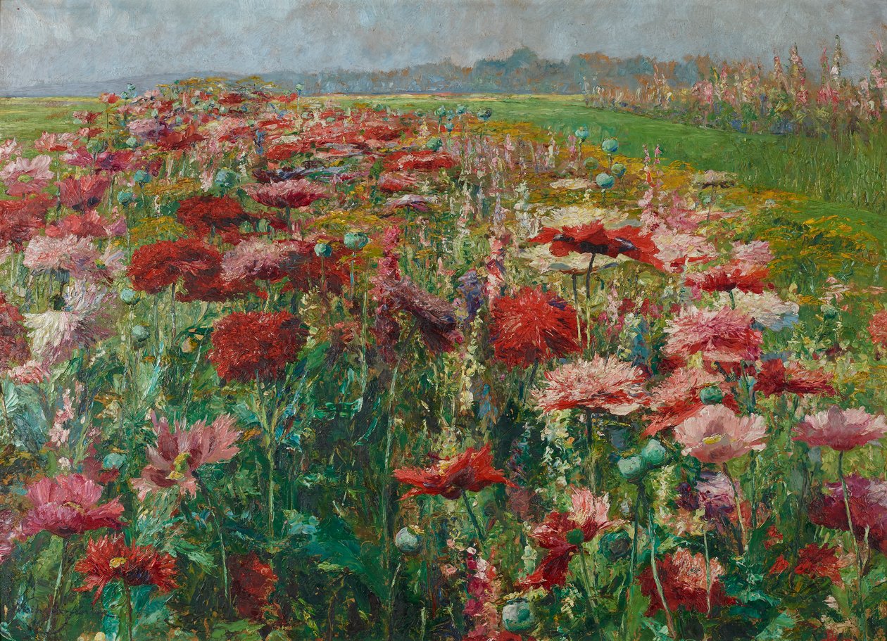 Blomstrende valmue af Olga Wisinger Florian