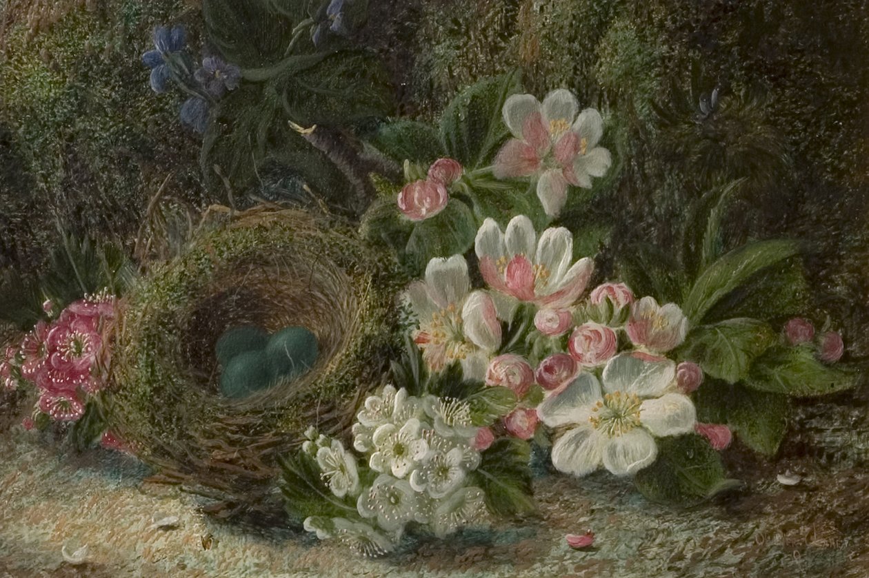 Fuglerede med æble og tjørnblomst, 1893 af Oliver Clare