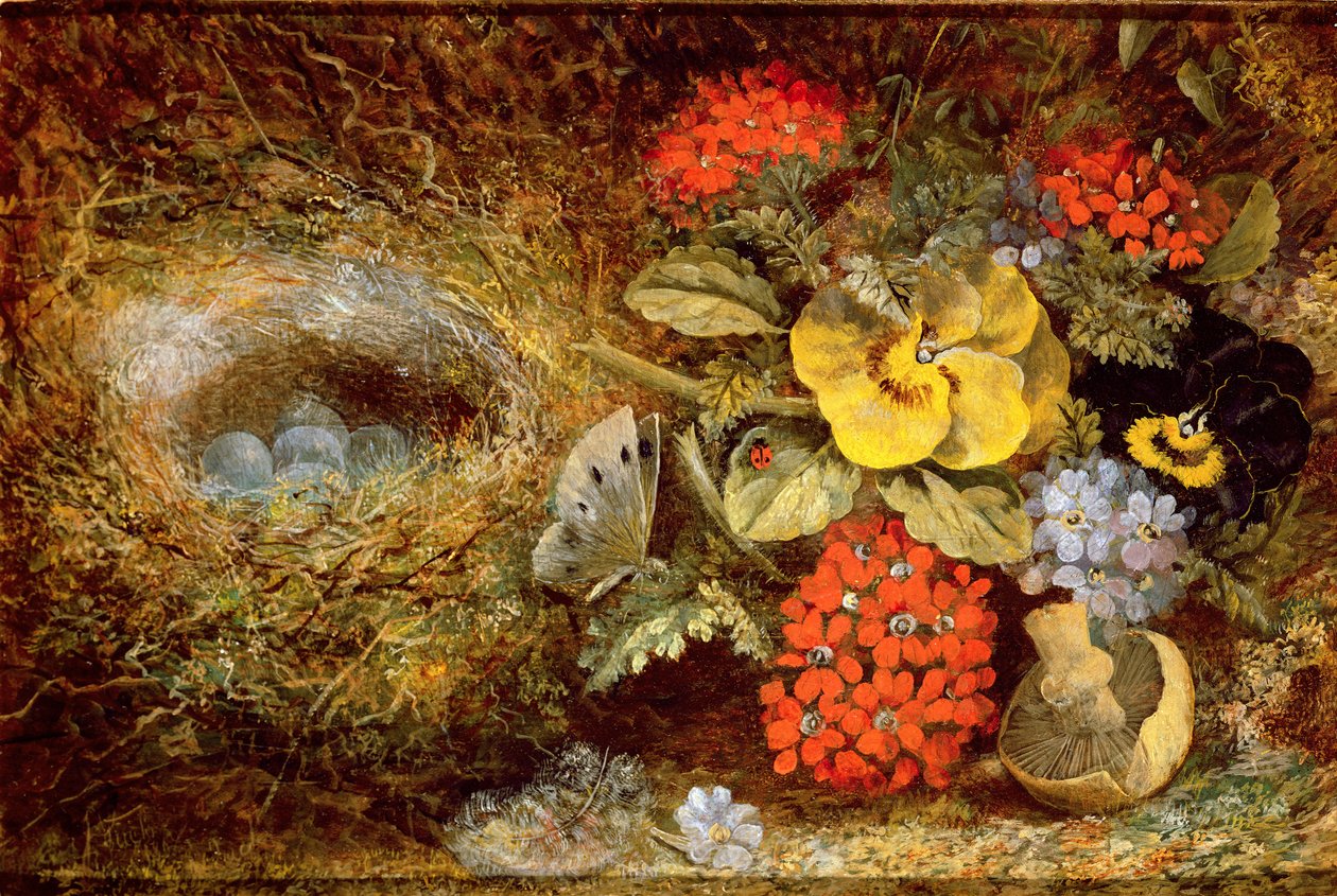 Blomster og Fuglerede med Sommerfugl og Svamp af Oliver Clare