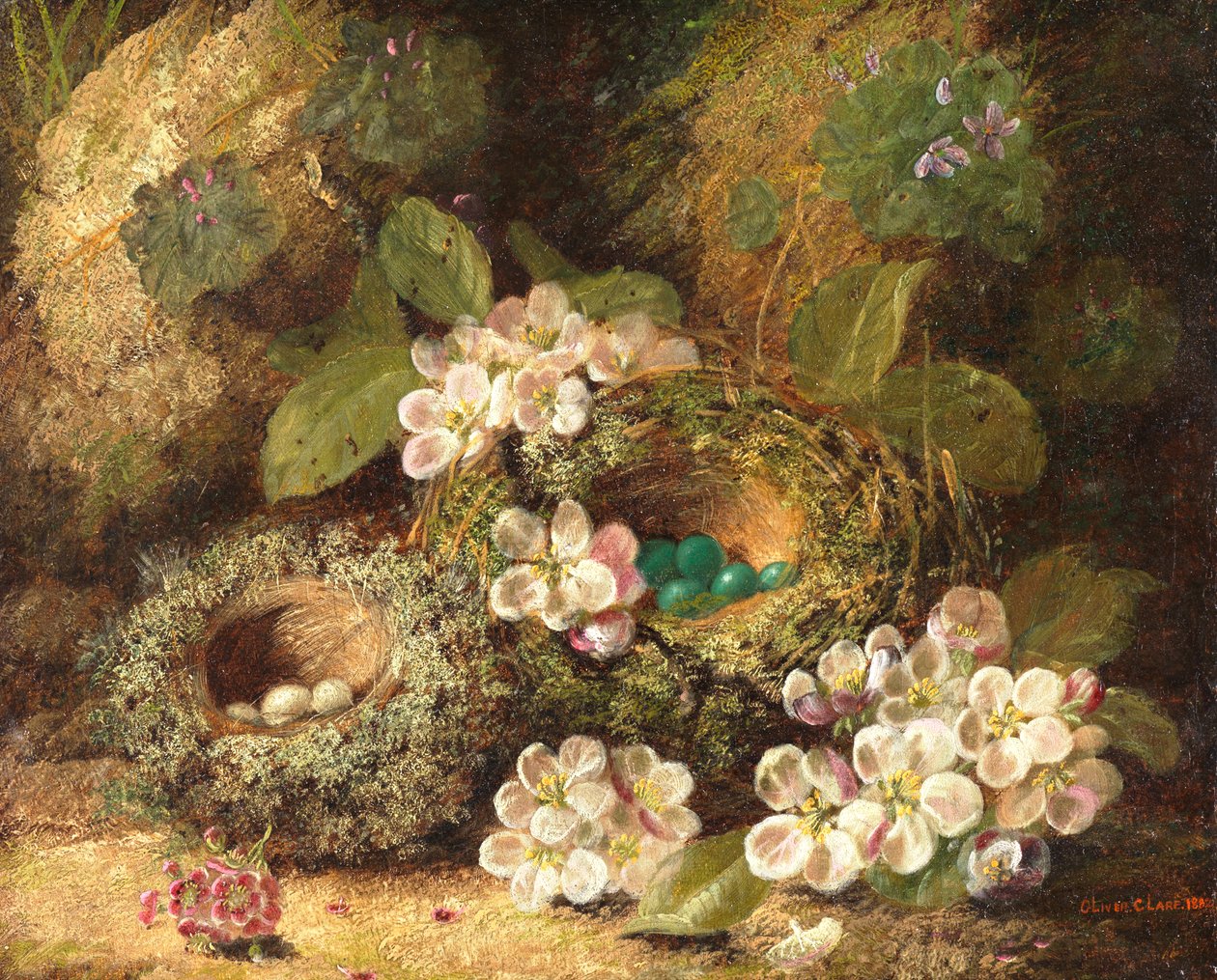 Primroser og fuglerede på en mosebred, 1882 af Oliver Clare
