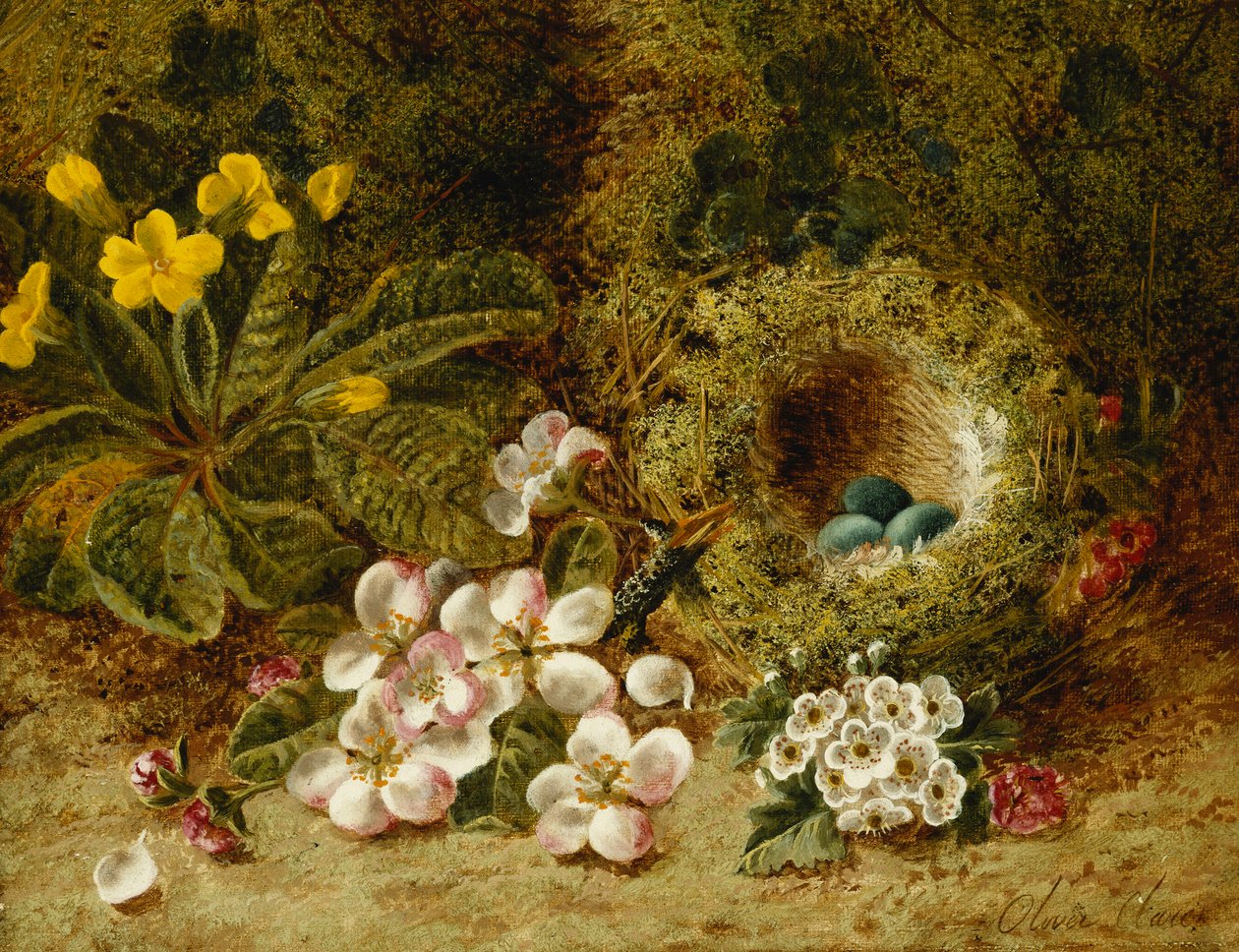 Æbleblomster, en Primrose- og Fuglerede på en Mosebred, af Oliver Clare