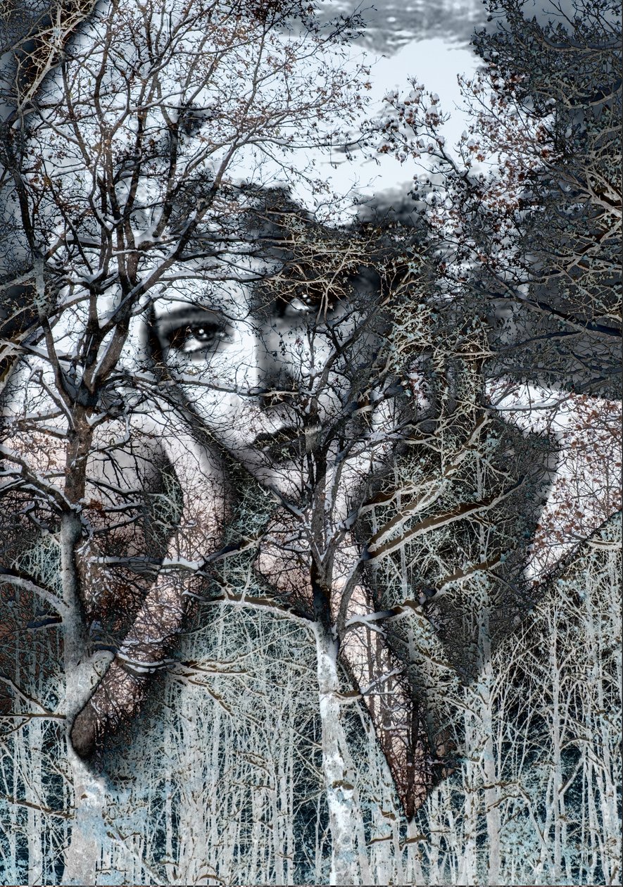 Vinterportræt i negativ, 2021 (digital mixed media) af Olivia Gozzano
