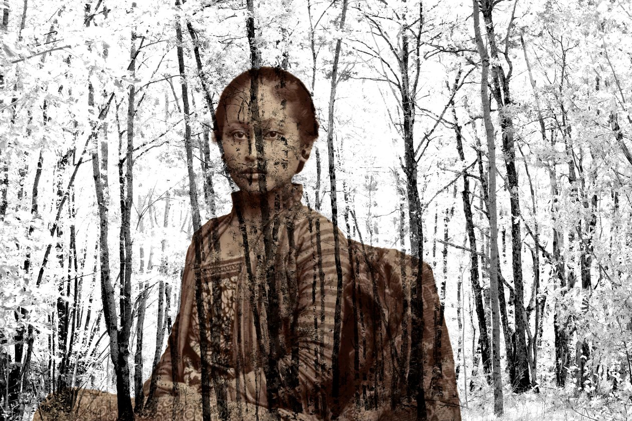 Portræt blandt grenene, 2024 (digital mixed media) af Olivia Gozzano