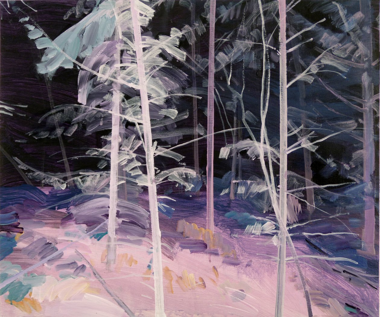 Schwarzwald 1 ,2017 (akryl på lærred) af Olivier Morel