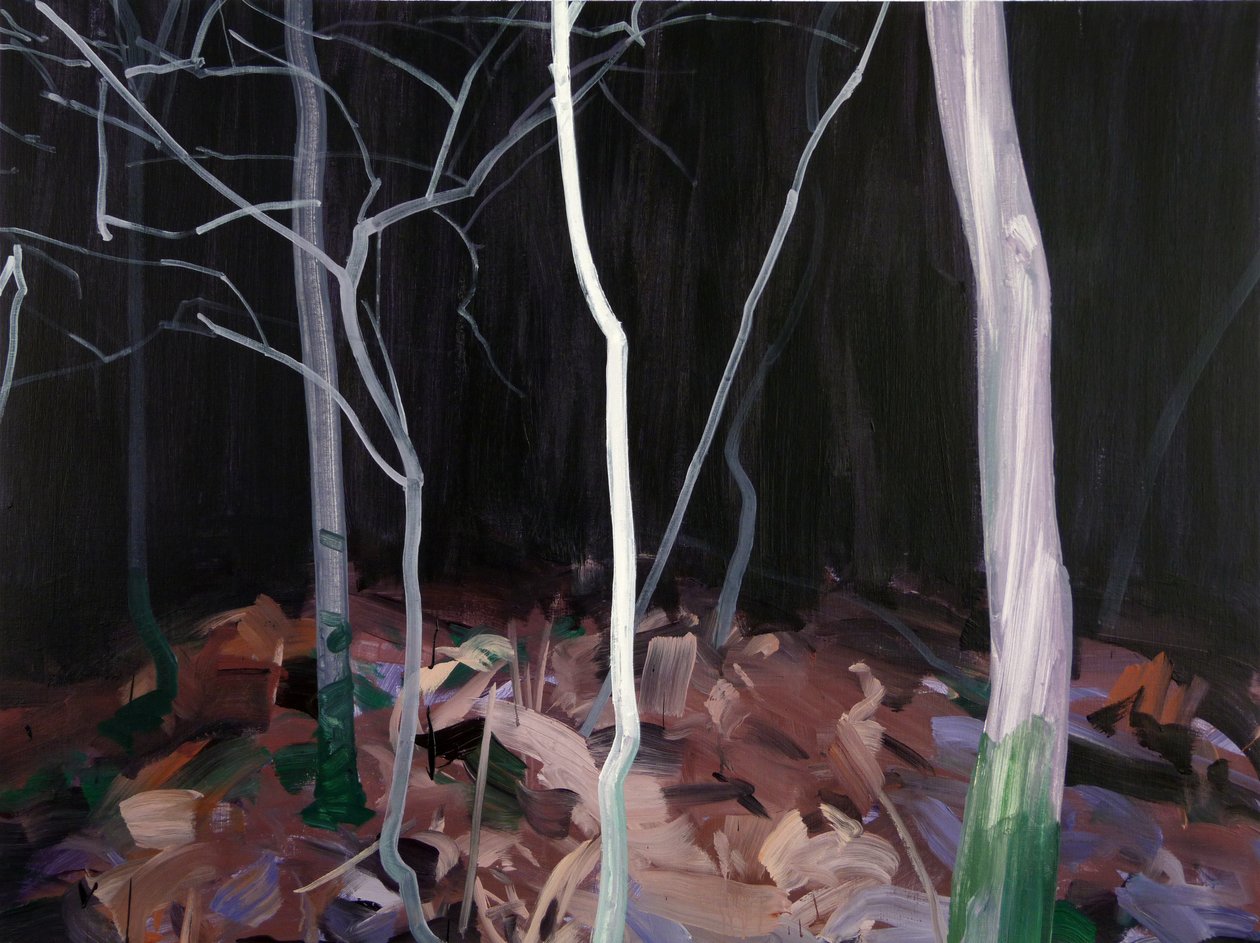 Skov 13 fredag-13. november 2015 (akryl på lærred) af Olivier Morel