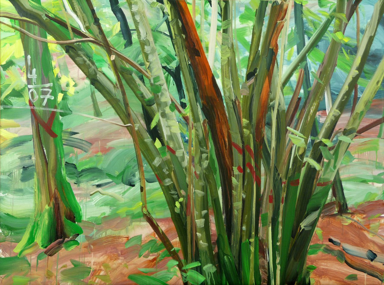 Forest 8 le-9-janvier-2015 ,2015 (akryl på lærred) af Olivier Morel