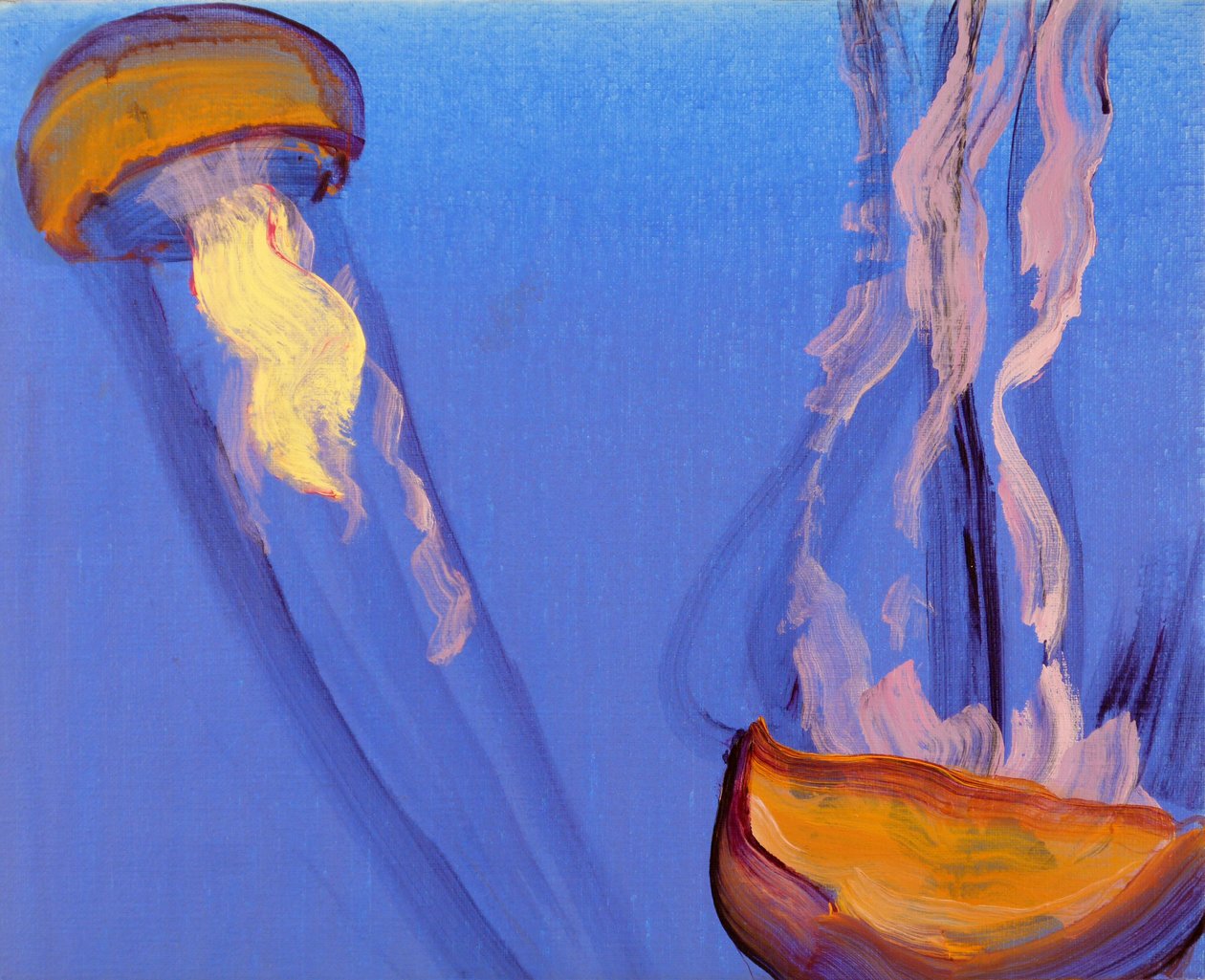 Méduses 7, 2013 (akryl på lærred) af Olivier Morel