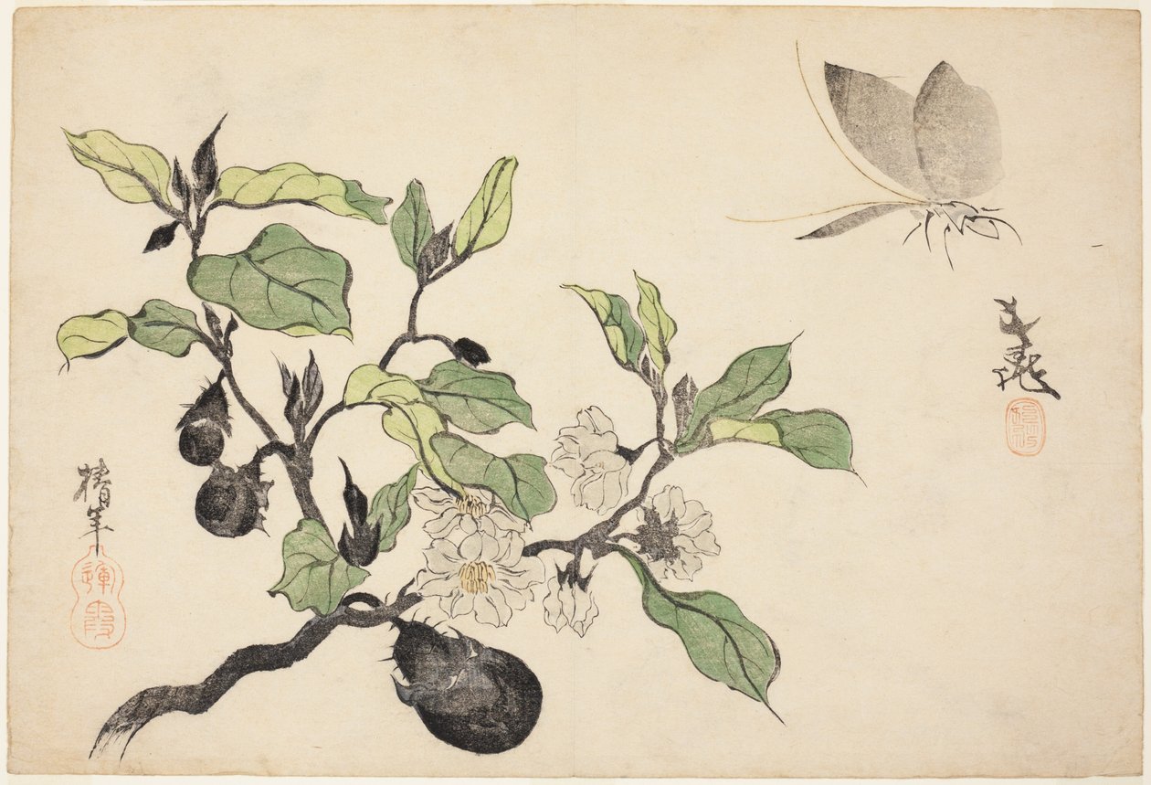 Aubergine med frugt og blomster af Onishi Chinnen