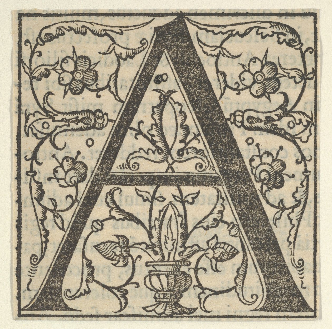 Forbogstav A med guirlander, midten af 1500-tallet., midten af 1500-tallet. af Oronce Fine