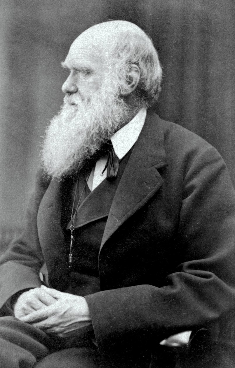 Charles Darwin, 1875 af Oscar Gustav Rejlander
