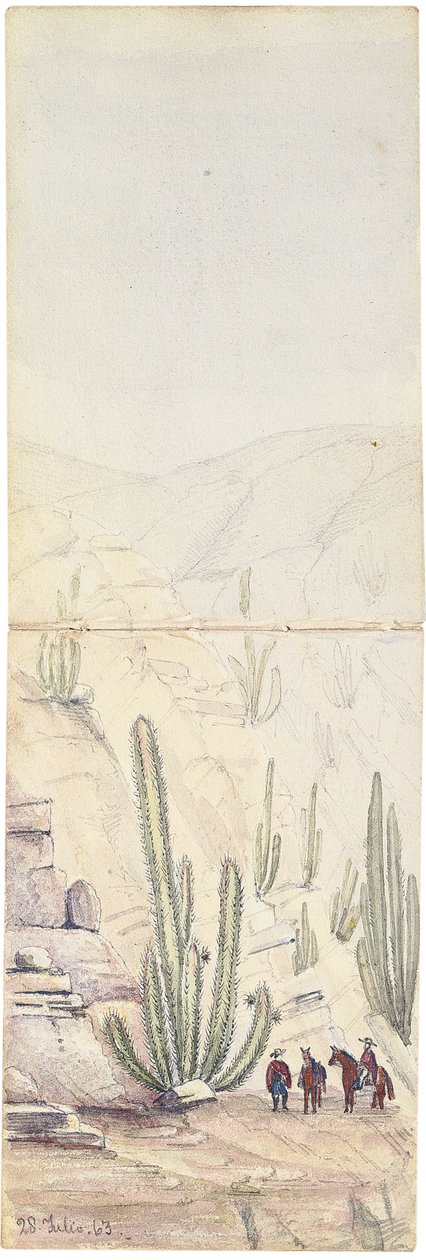 Kaktusser i Deep "Groove", 1863 af Oswald Younghusband