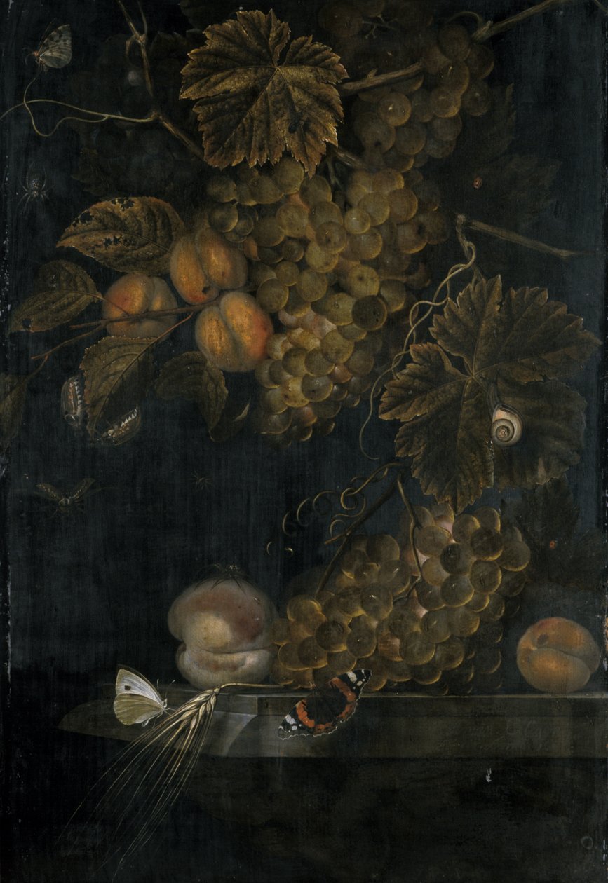 Stilleben med ferskner og druer, 1665 af Ottmar the Elder Elliger
