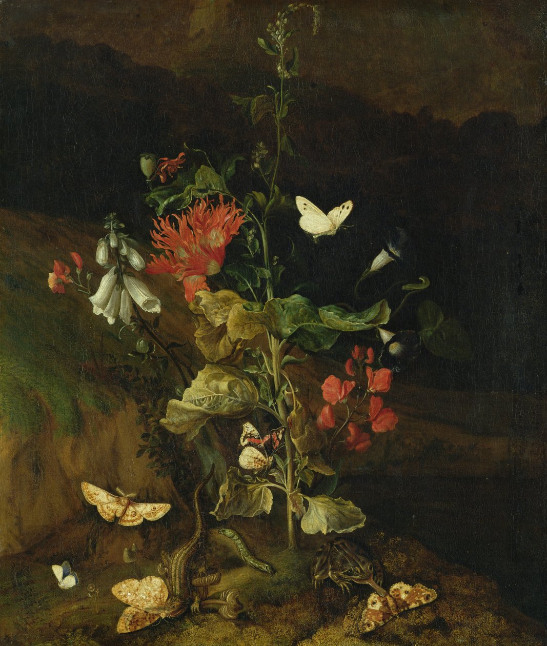 Blomsterstudie af Otto Marseus  van Schrieck