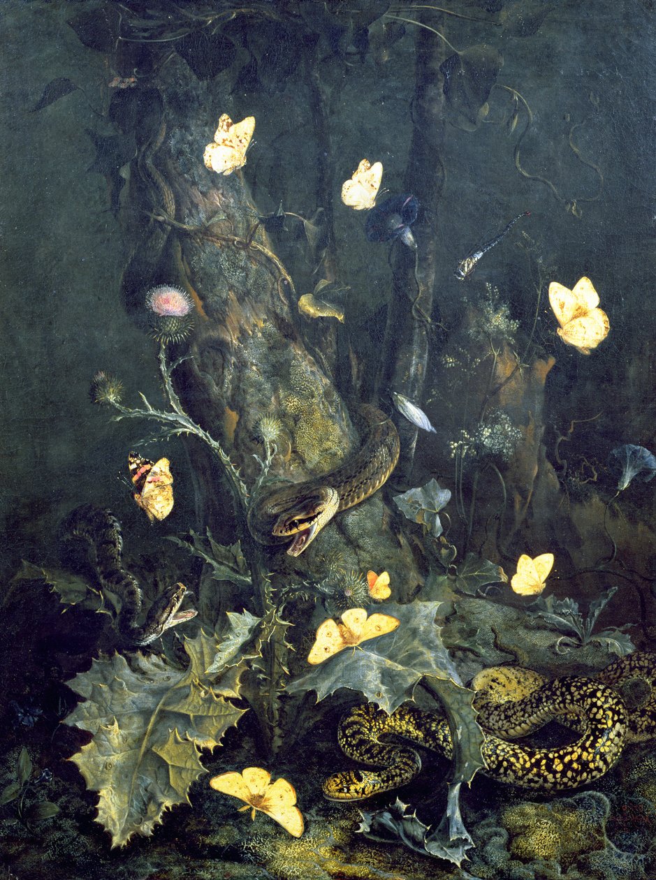 Slanger og sommerfugle, 1670 af Otto Marseus  van Schrieck