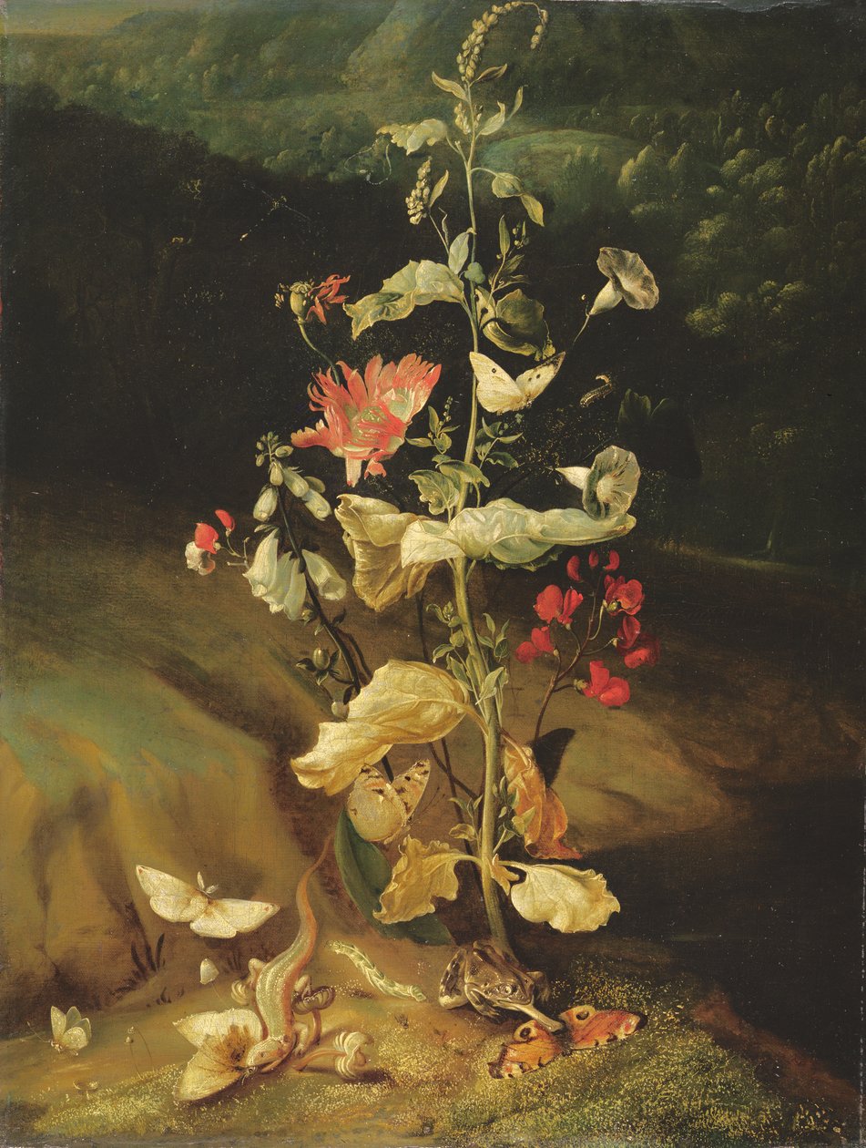 Stilleben med blomster af Otto Marseus  van Schrieck