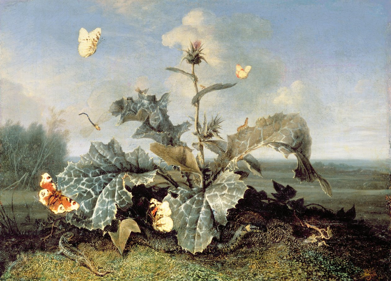 Burrebusken af Otto Marseus  van Schrieck