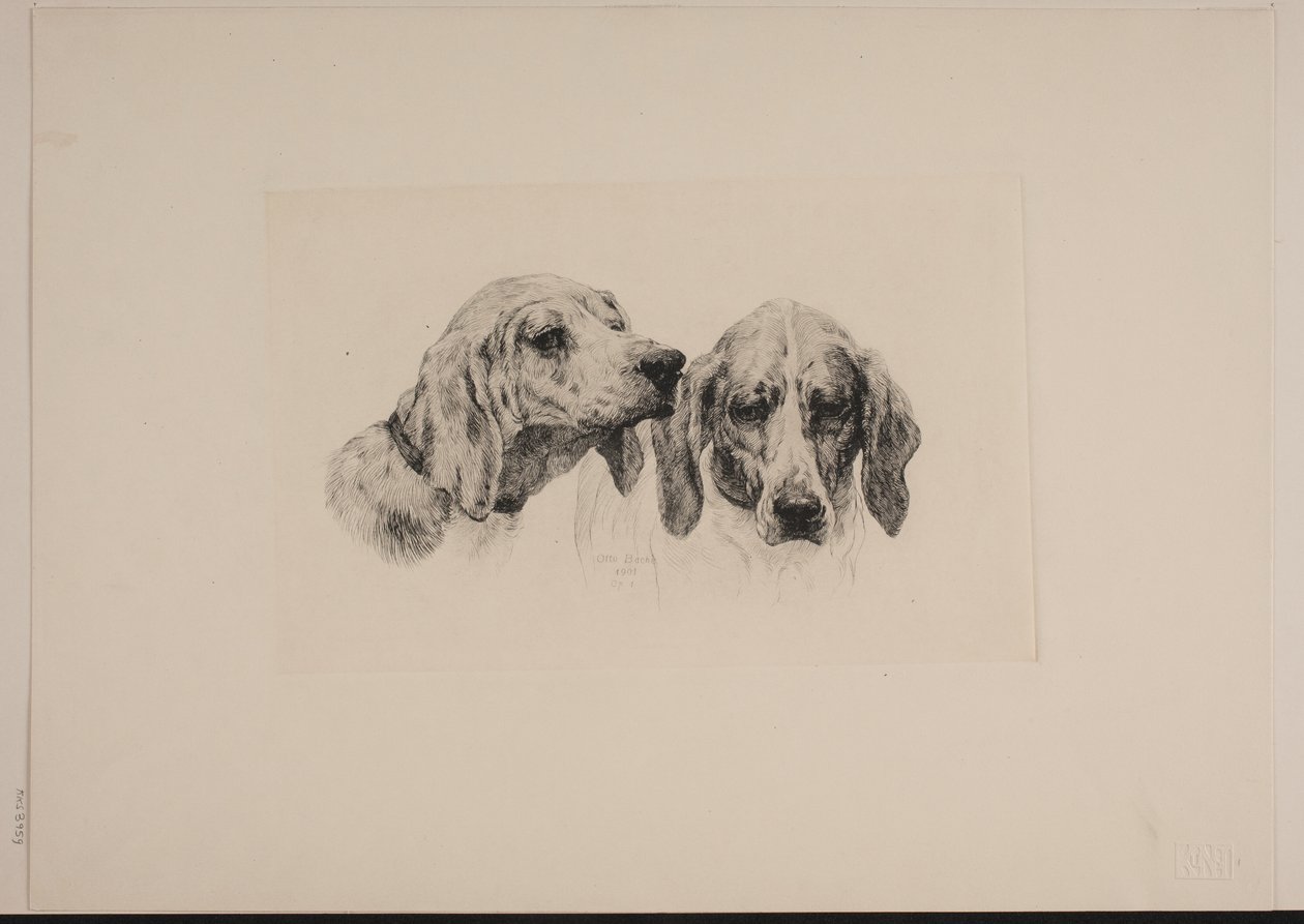 Danish: To hundehoveder af Otto Bache