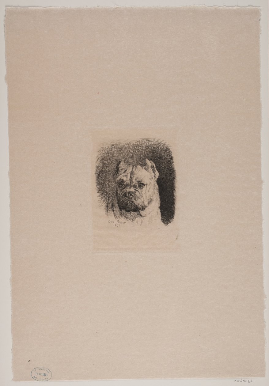 Et hundehoved af Otto Bache