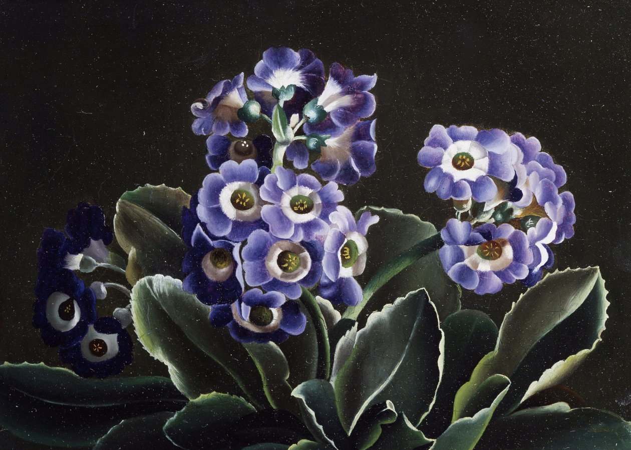  af Otto Didrik Ottesen