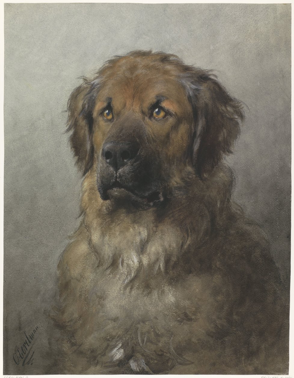 Leder af en Leonberger Leder af en Leonberger, forfra af Otto Eerelman