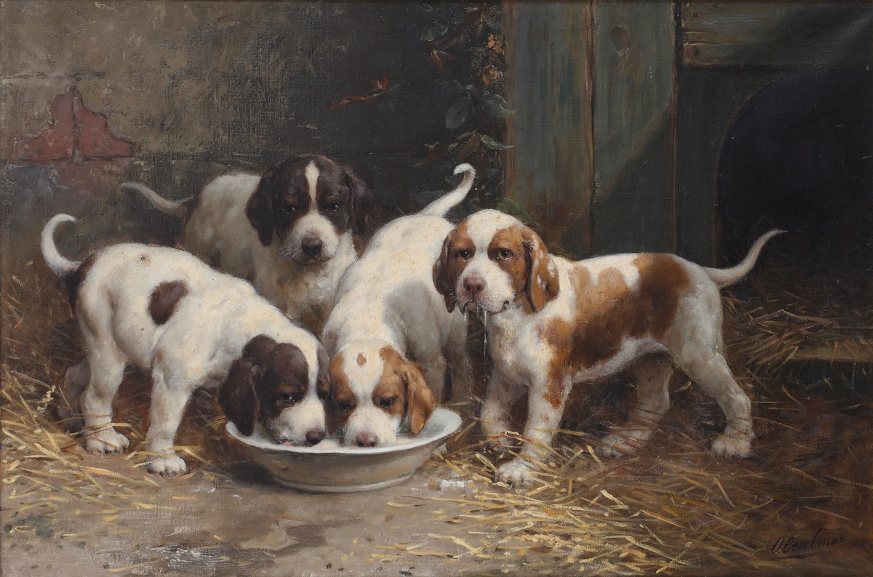 Saint Bernard hvalpe drikker mælk (olie på lærred) af Otto Eerelman