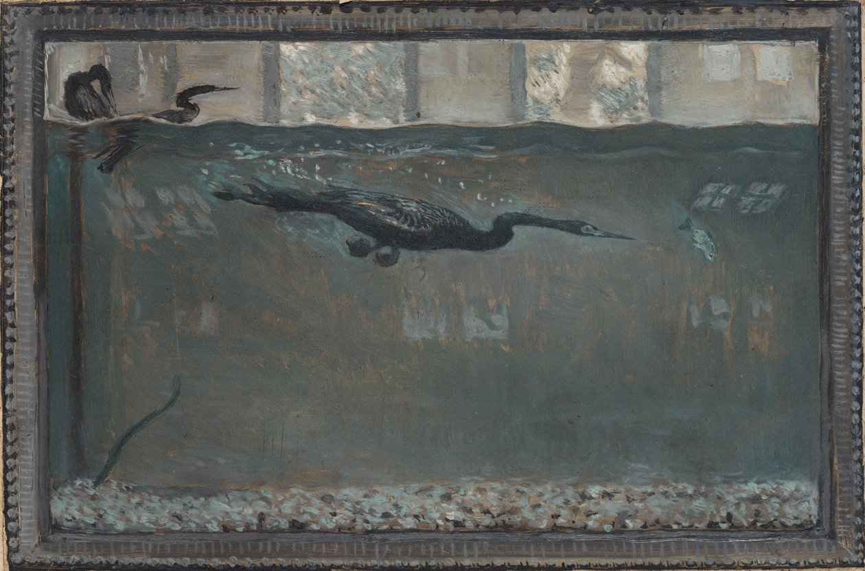 Dykkerskarv, 1900. af Otto H. Bacher