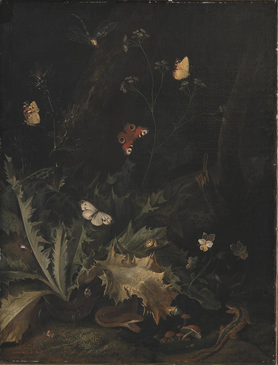 En skovbund med en tidsel, en slange, en firben og sommerfugle af Otto Marseus  van Schrieck