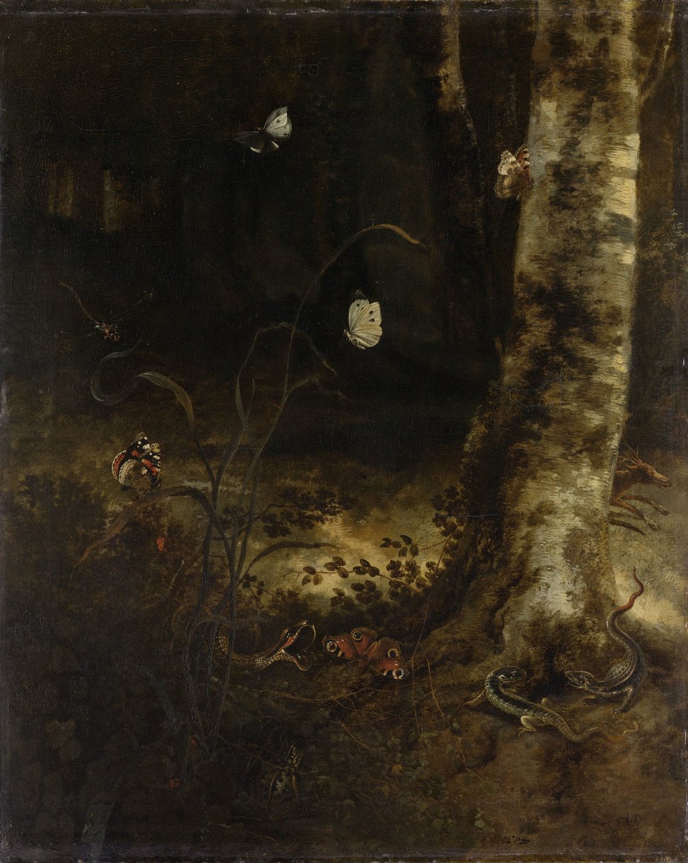 Skovbund med en slange, firben, sommerfugle og andre insekter af Otto Marseus  van Schrieck