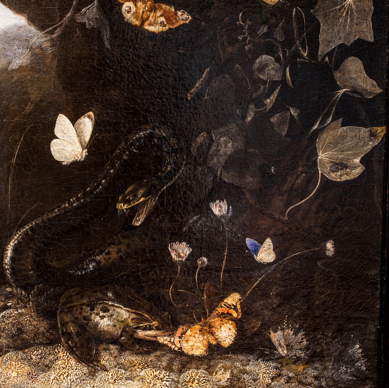 Slanger, tudser og sommerfugle af Otto Marseus van Schrieck