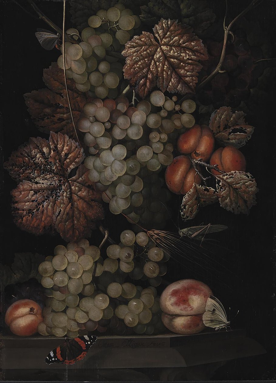 Stilleben af Ottomar Elliger d.Æ.