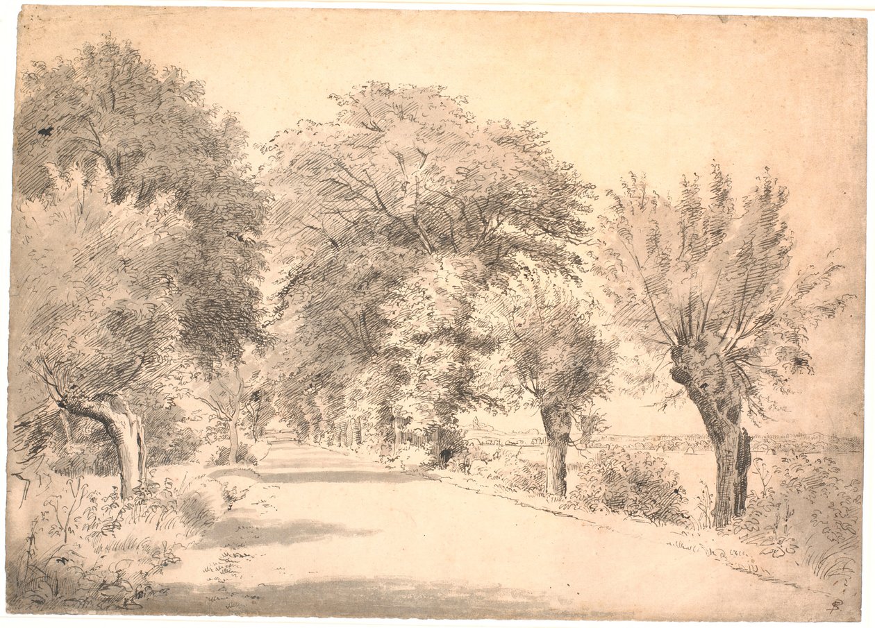 Landevejen ved herregaarden Vognserup. af P.C. Skovgaard
