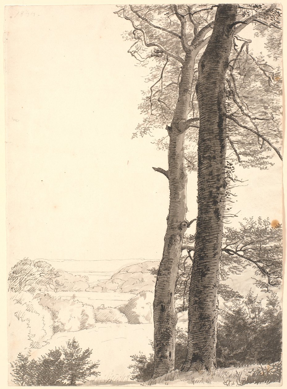 Landskab ved Skarritsø med to høje træer, bøge, i forgrunden. af P.C. Skovgaard