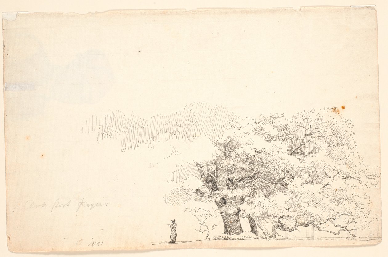 Store egetræer, t.v. en læsende mand. af P.C. Skovgaard